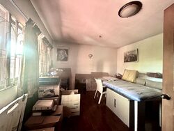 mimosa-park photo thumbnail #4